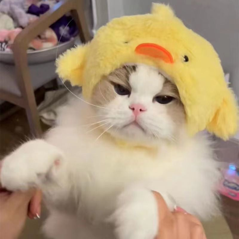 Cute Piggy Hat for Cats and Dogs - Piggy