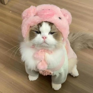 Cute Piggy Hat for Cats and Dogs - Piggy