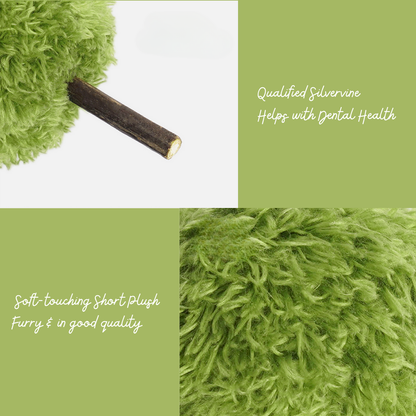 Acorn Catnip Toy and Dental Chew Stick - Brown