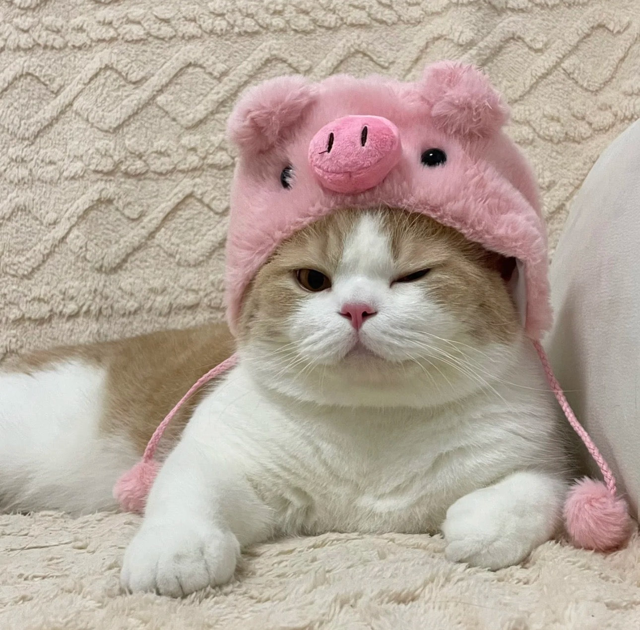 Cute Piggy Hat for Cats and Dogs - Piggy