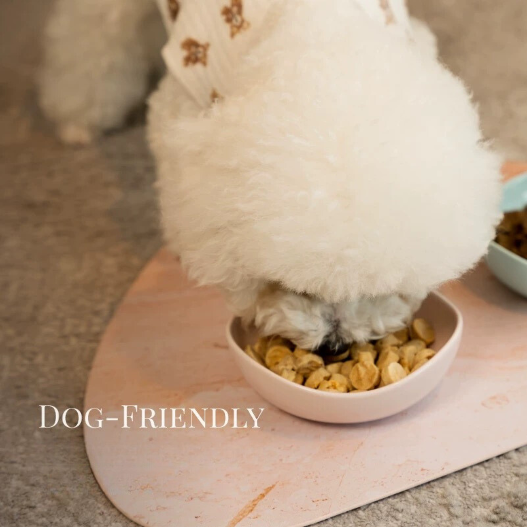 KAMA MUTA Pod Bowl Pet Bowl - Yellow