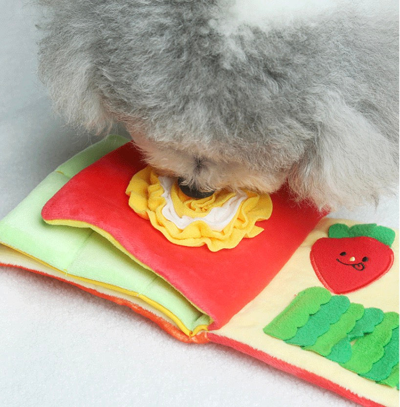 Snuffle Squeaky Hidden Treat Book Toy