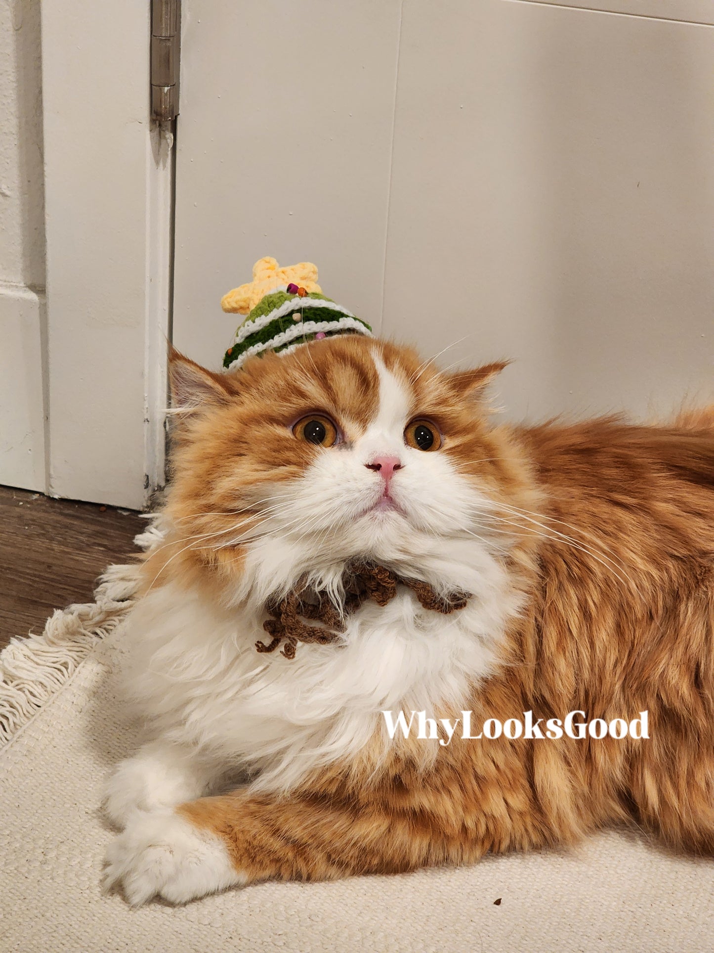ZEZE Christmas Hat for Cat and Dogs