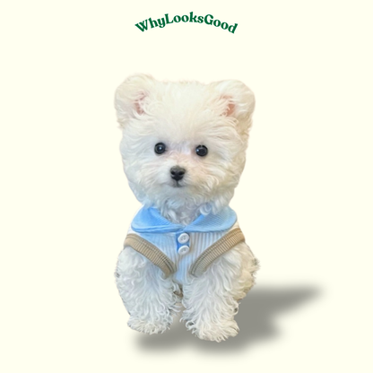 New Macaron Color Polo T-Shirt - White